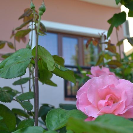 Melina'S House Aparthotel Stalós Екстериор снимка